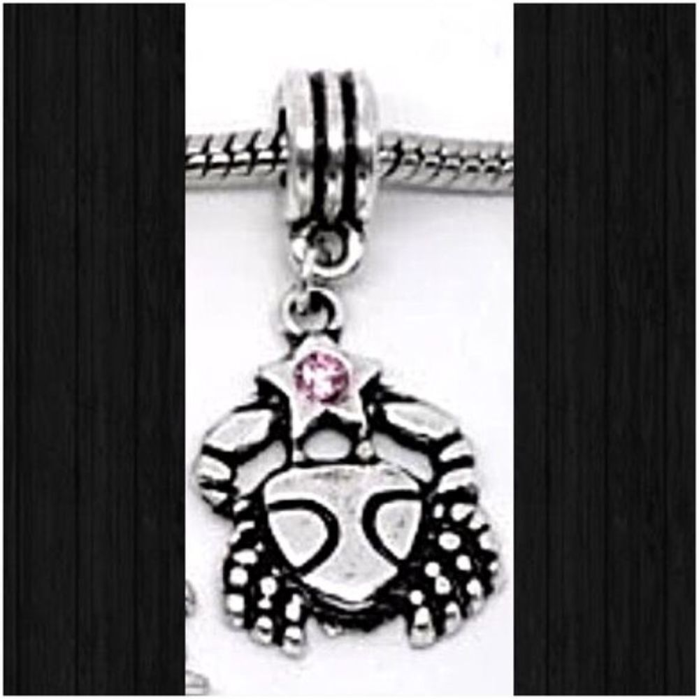 🦄5 for $35🦄 Cancer Charm/Pendant